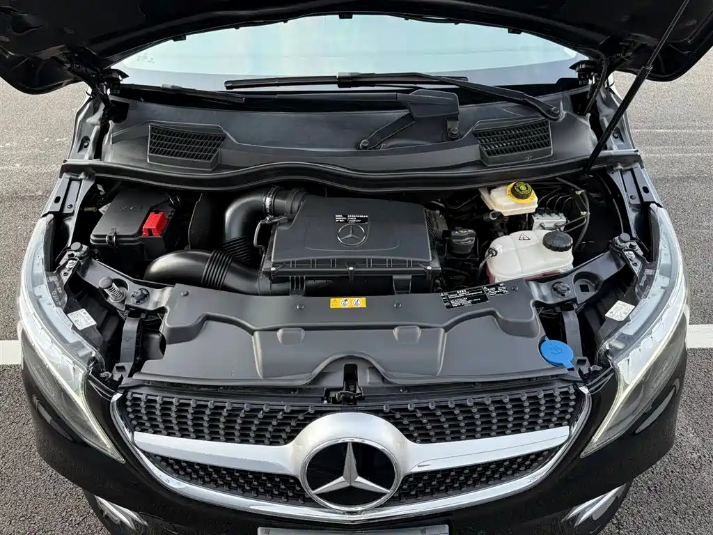 Mercedes-Benz V-Class V 260 L Long Wheelbase Luxury Edition, фото 11