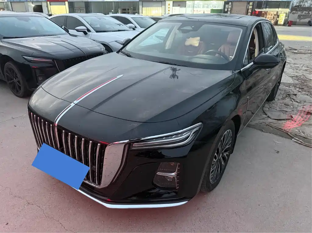 Hongqi Hongqi H5 2024