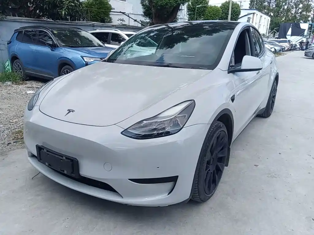 Tesla Model Y — миниатюра 2