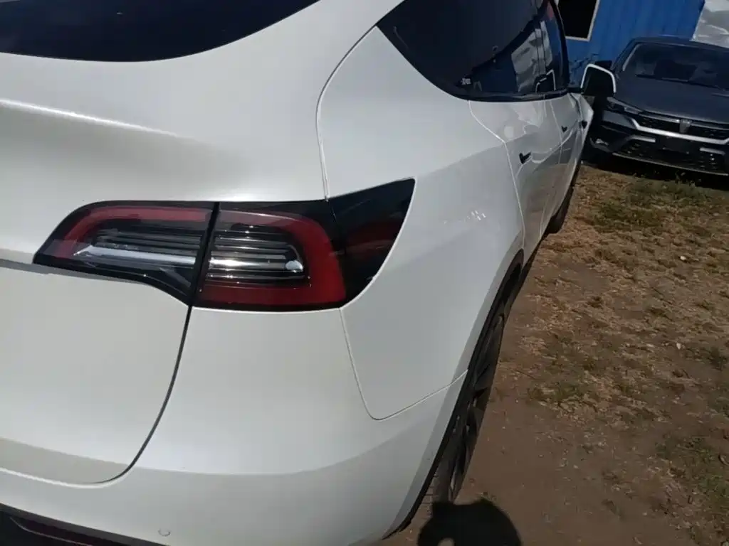 Tesla Model Y — миниатюра 8
