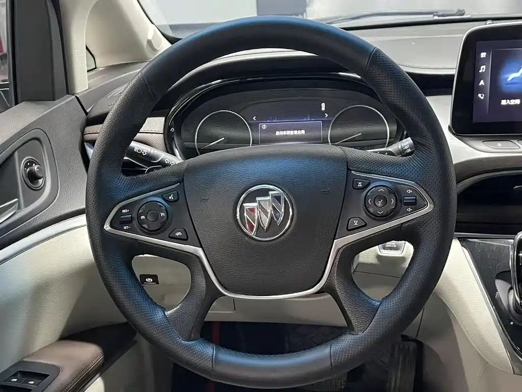 Buick GL8 — миниатюра 8