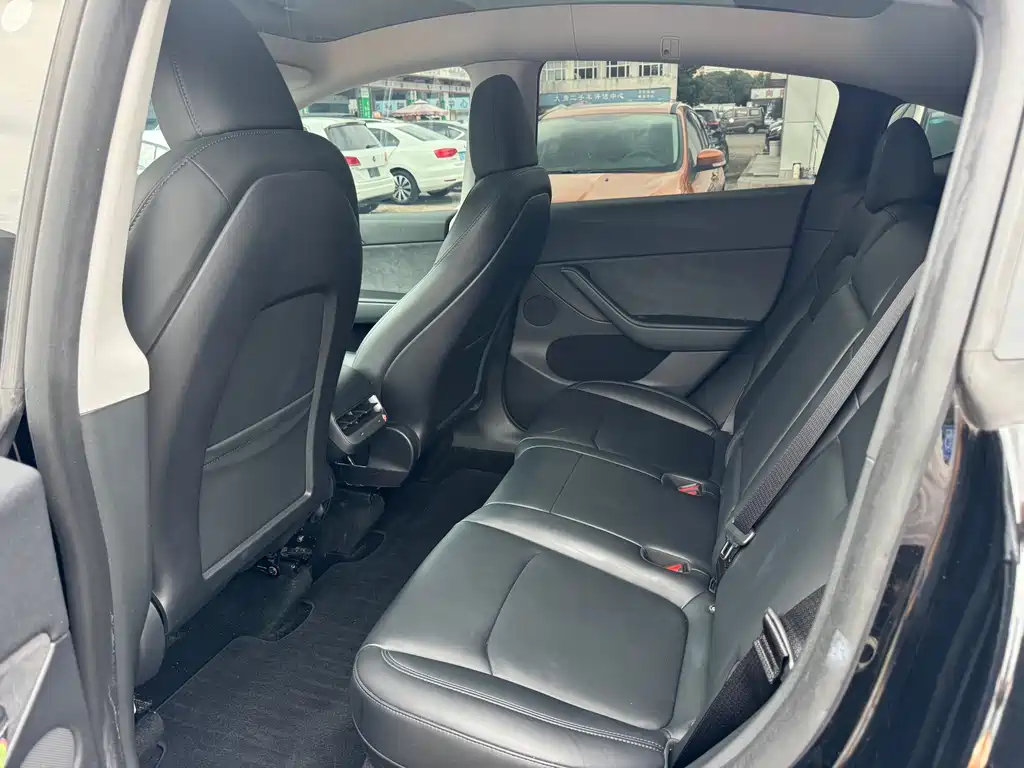 Tesla Model Y — миниатюра 5