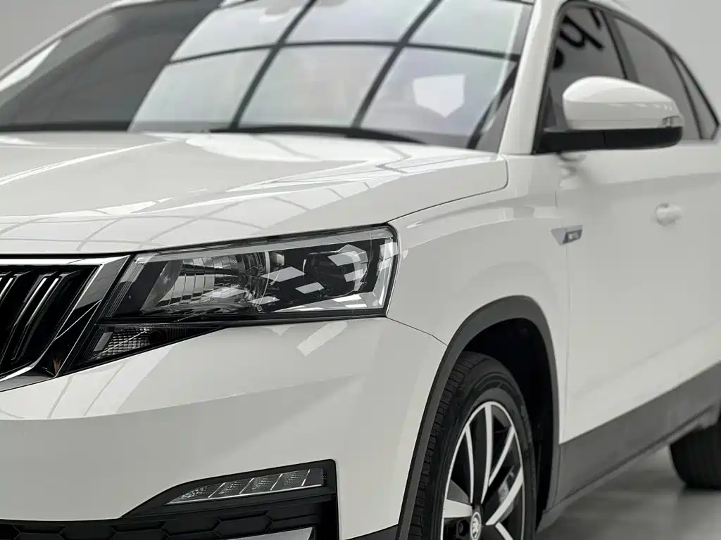 Skoda Kamiq — миниатюра 4