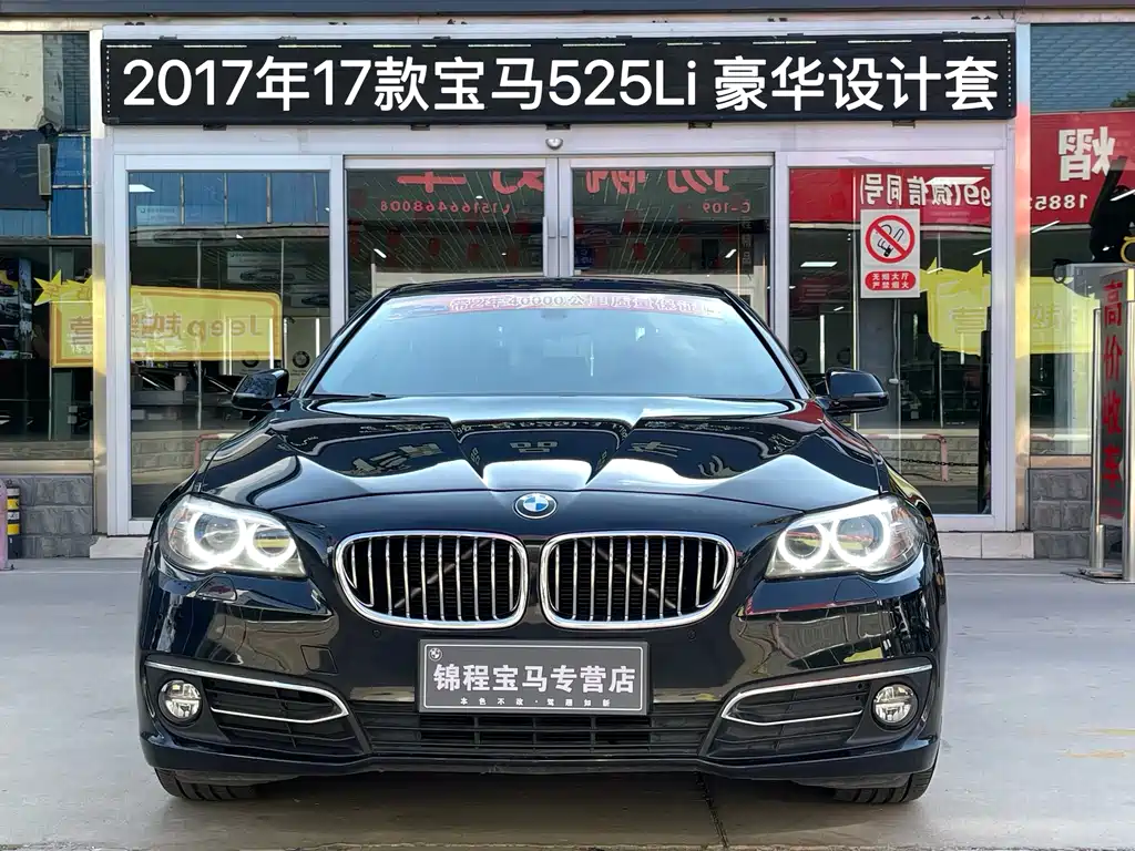 BMW 5 Series — миниатюра 3