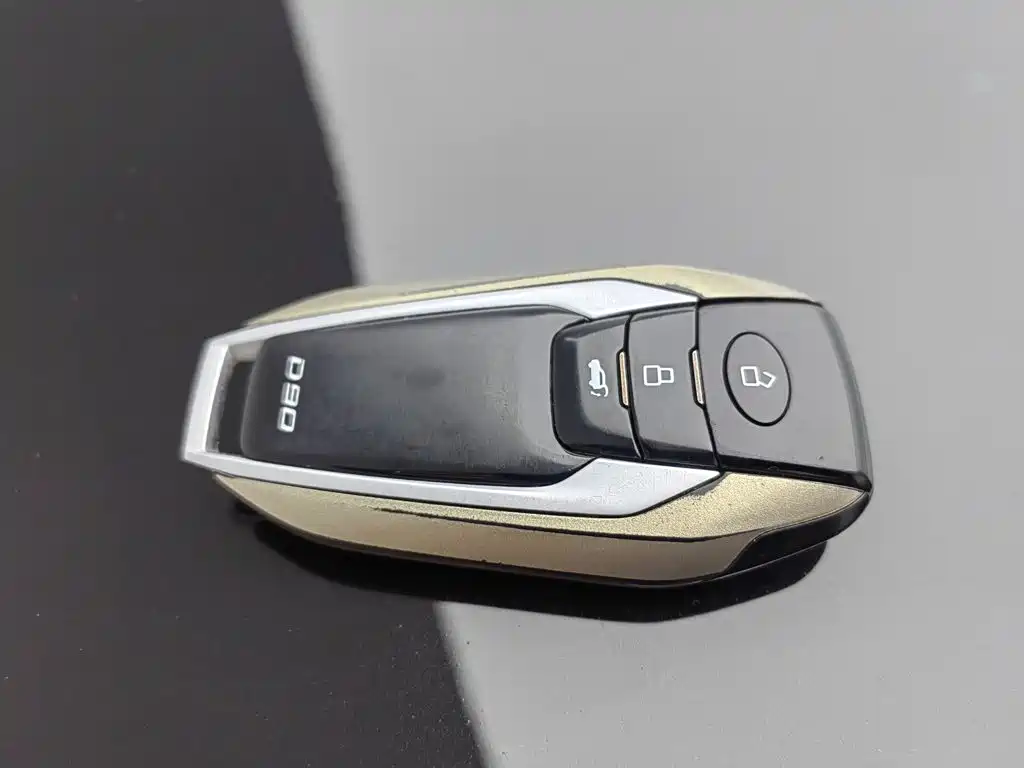 Maxus D90 — миниатюра 19