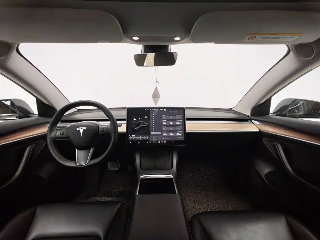 Tesla Model 3 — миниатюра 17