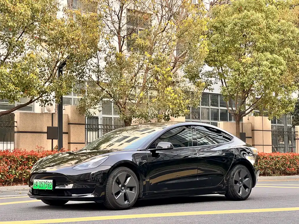 Tesla Model 3 2021