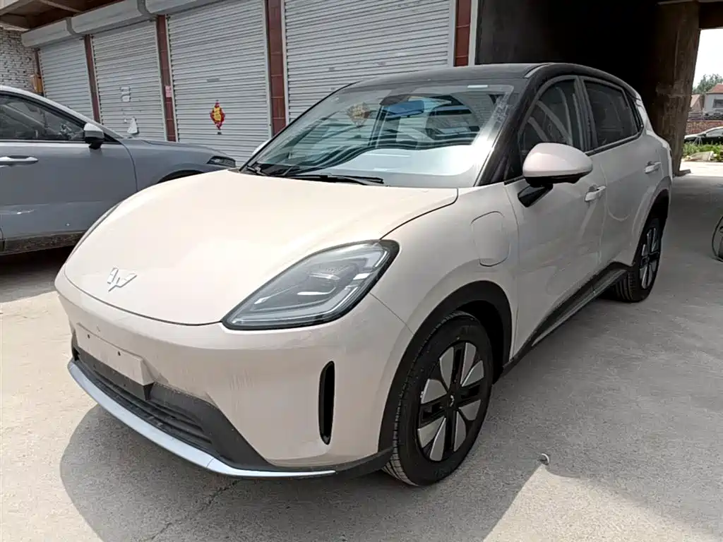 Wuling BinguoS S 2025 325km Premium