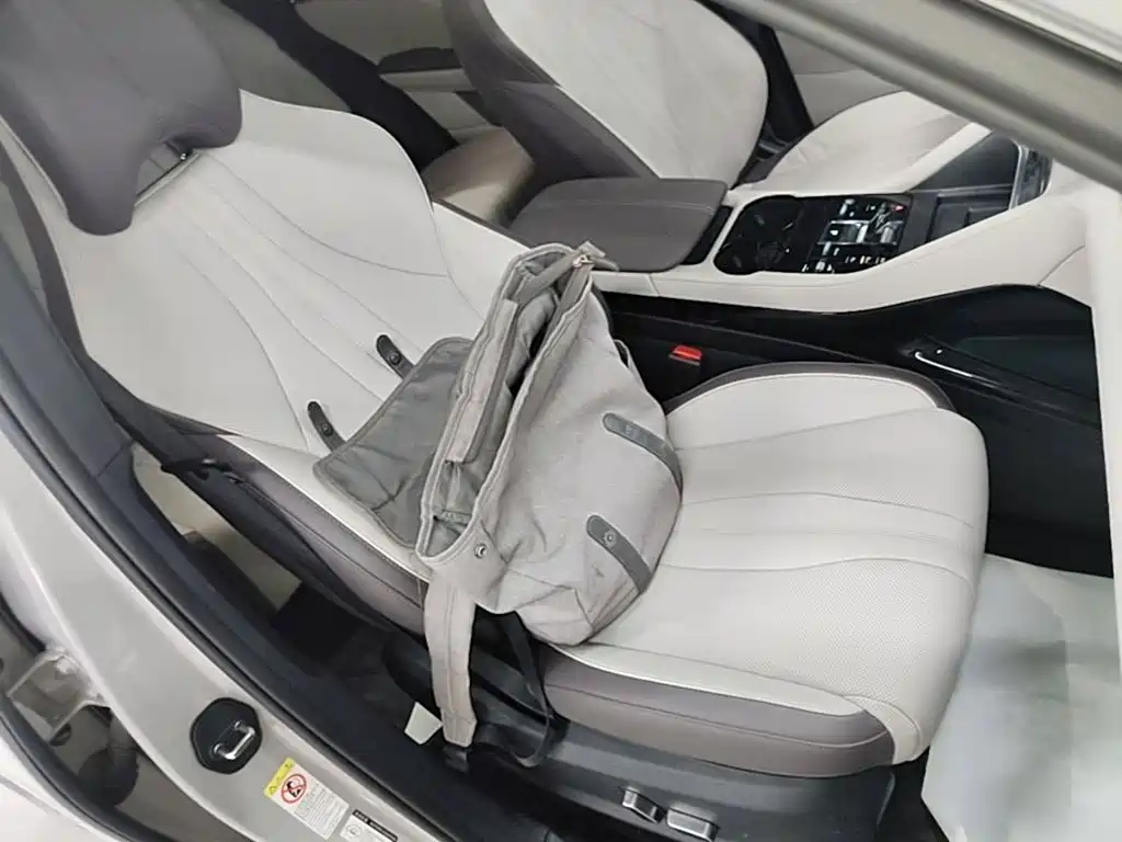 BYD PLUS New Energy — миниатюра 25