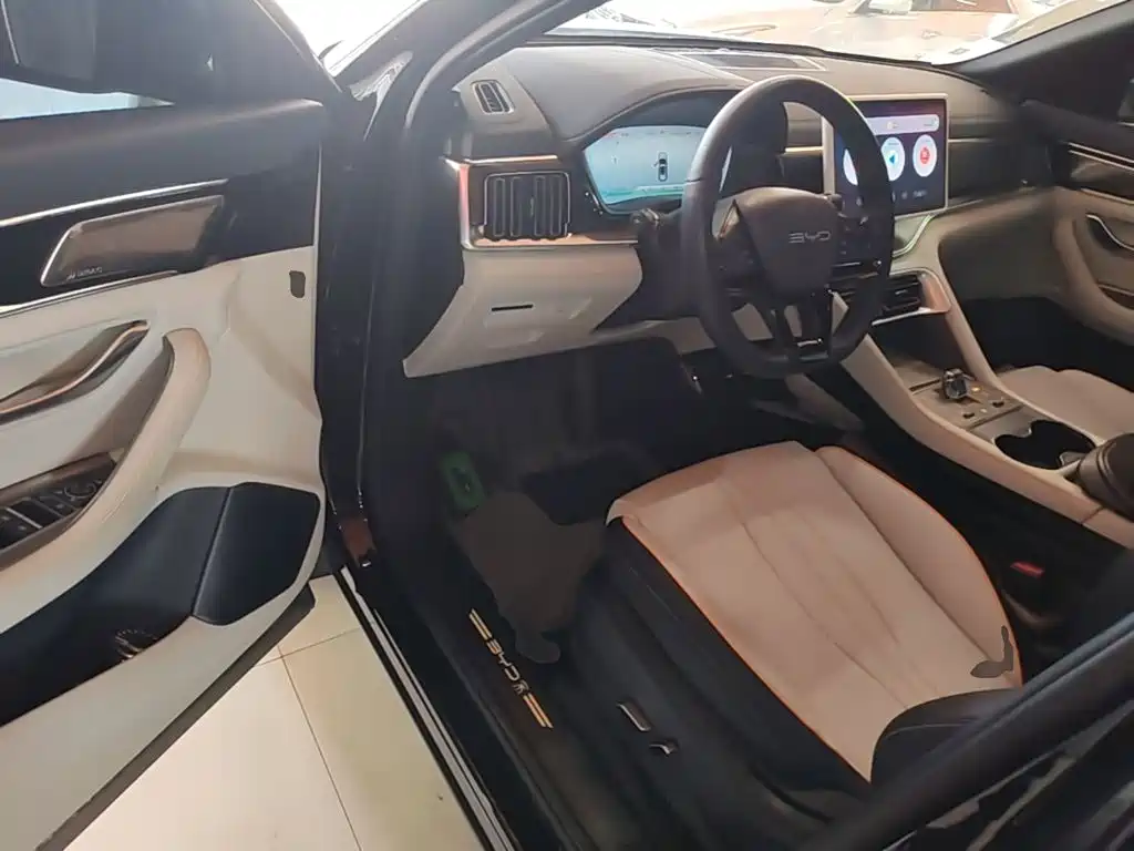 BYD PLUS New Energy — миниатюра 16