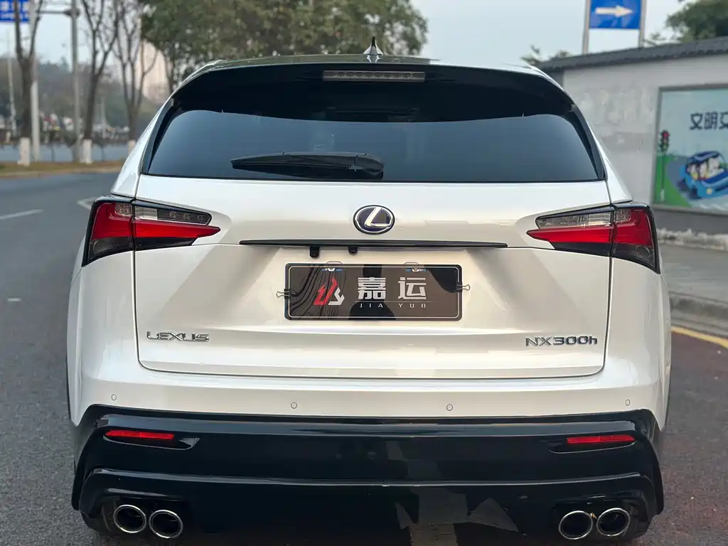 LEXUS NX