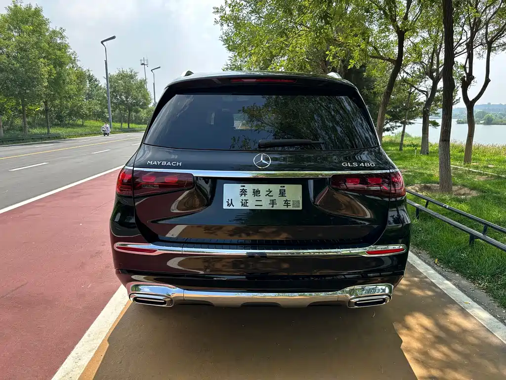 Mercedes-Benz GLS — миниатюра 7