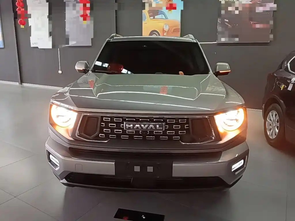 Haval Big Dog PLUS — миниатюра 3
