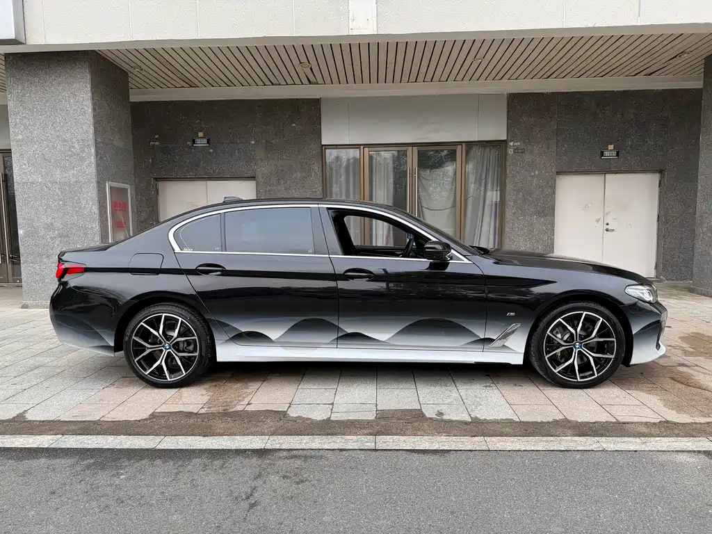 BMW 5 Series 5 2021 530Li Premium M Sport