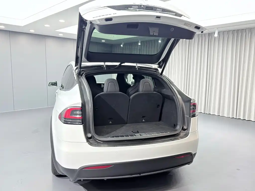 Tesla Model X — миниатюра 19