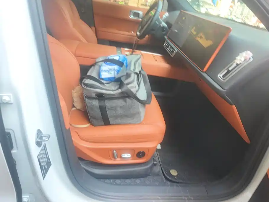 Li Auto Li L6 — миниатюра 8