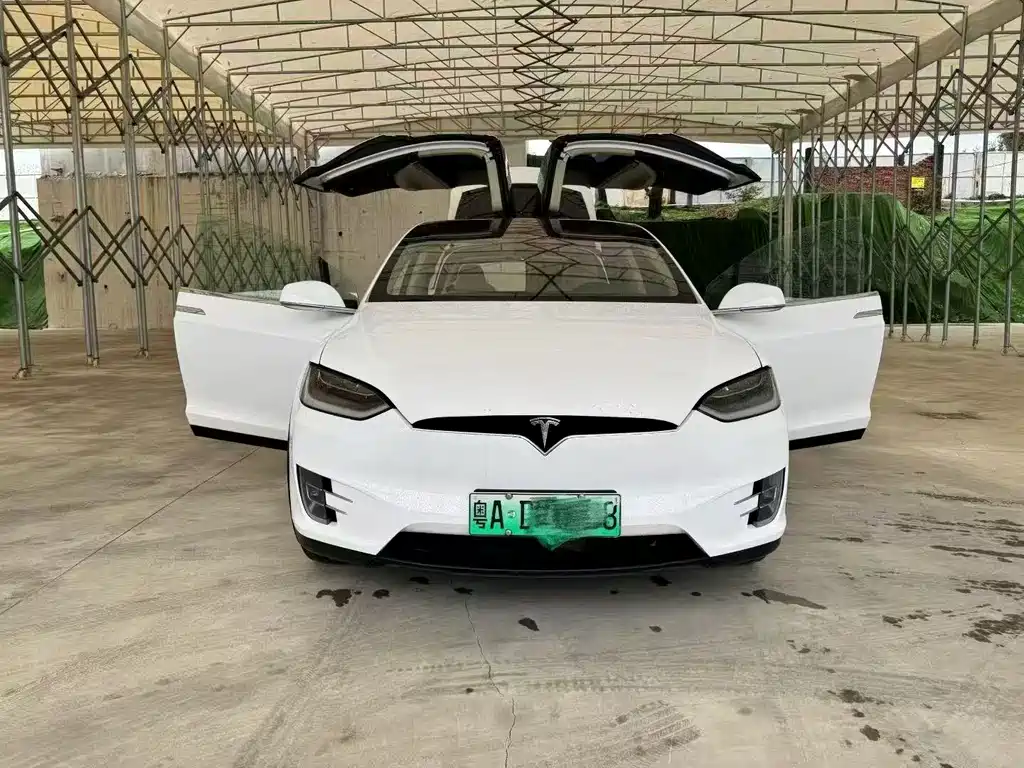 Tesla Model X 2018