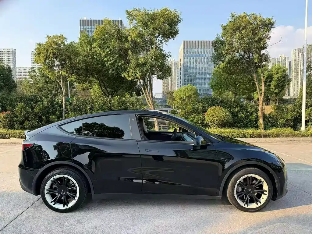 Tesla Model Y — миниатюра 8