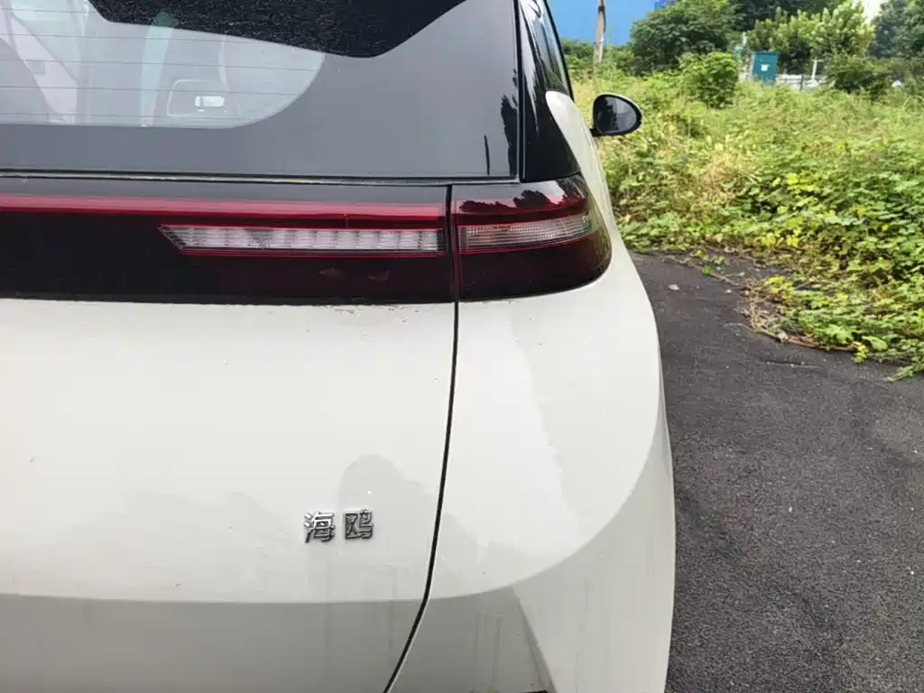 BYD Seagull — миниатюра 8