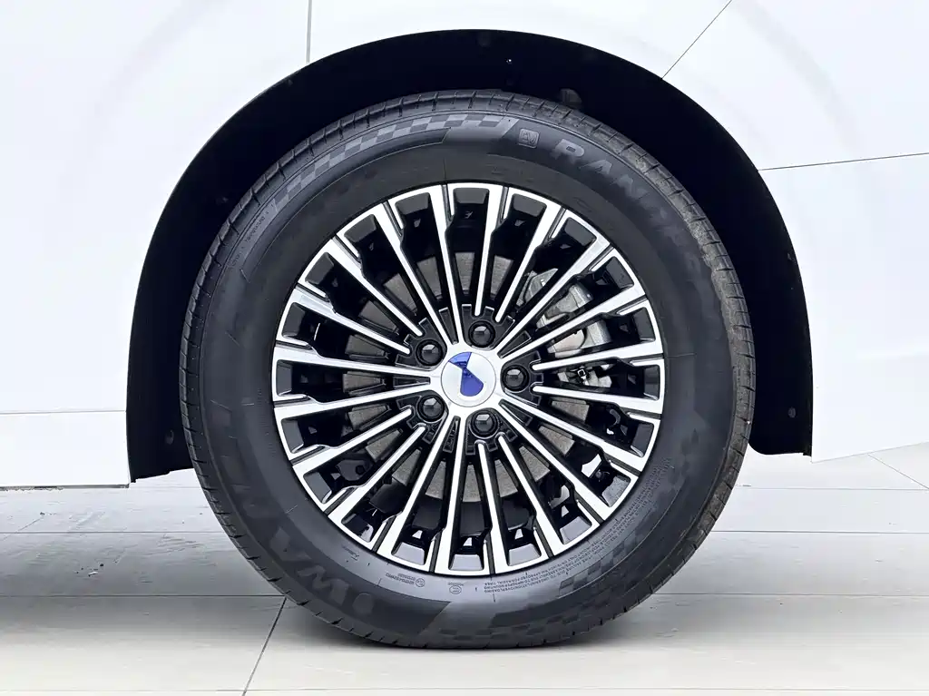Denza Denza D9 — миниатюра 9