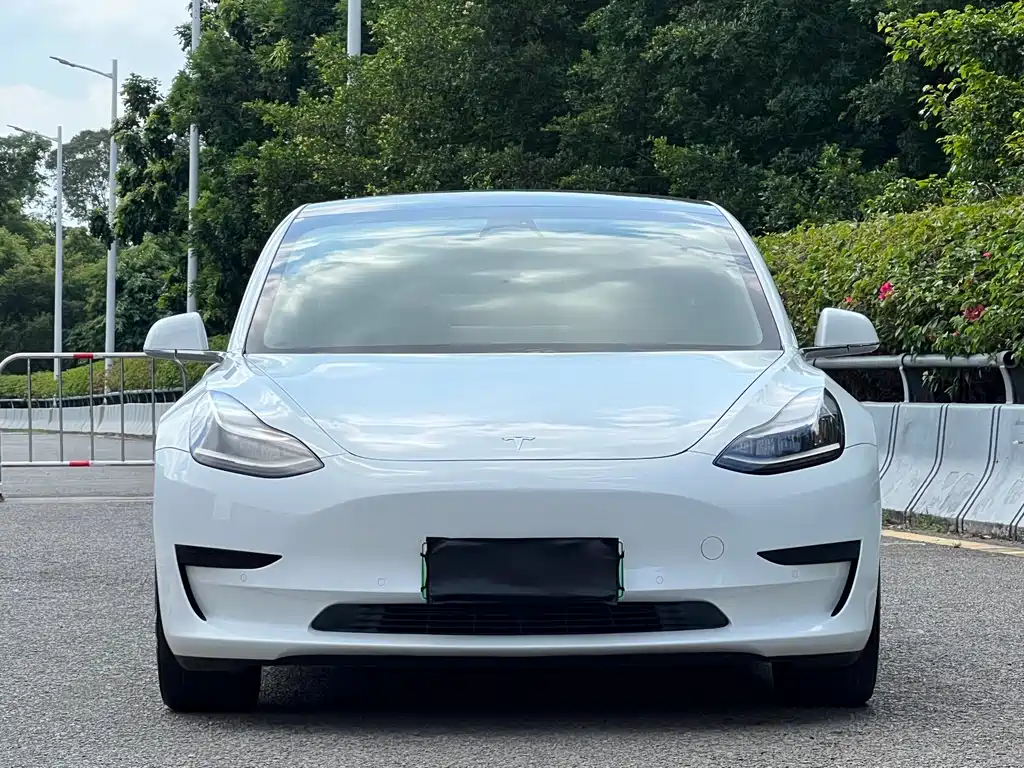 Tesla Model 3 — миниатюра 2