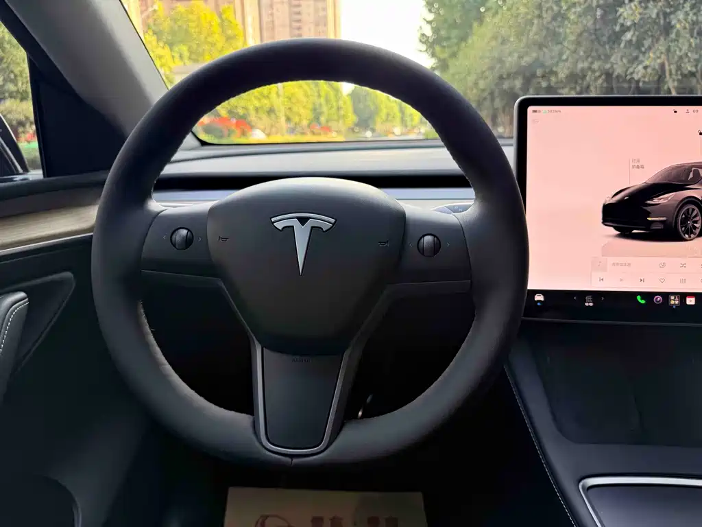 Tesla Model Y — миниатюра 14