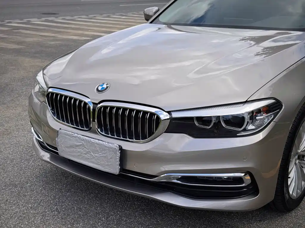 BMW 5 Series 5 2019 530Li Lead Luxury