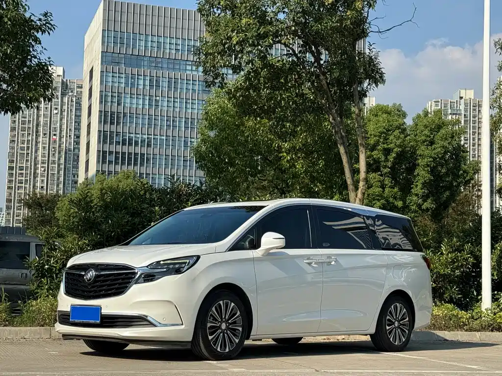 Buick GL8 — миниатюра 2