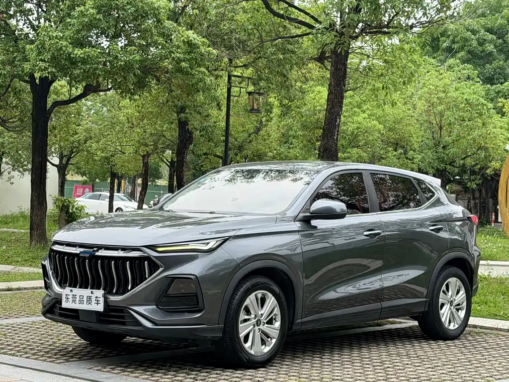 Oshan Oushang X5 2021