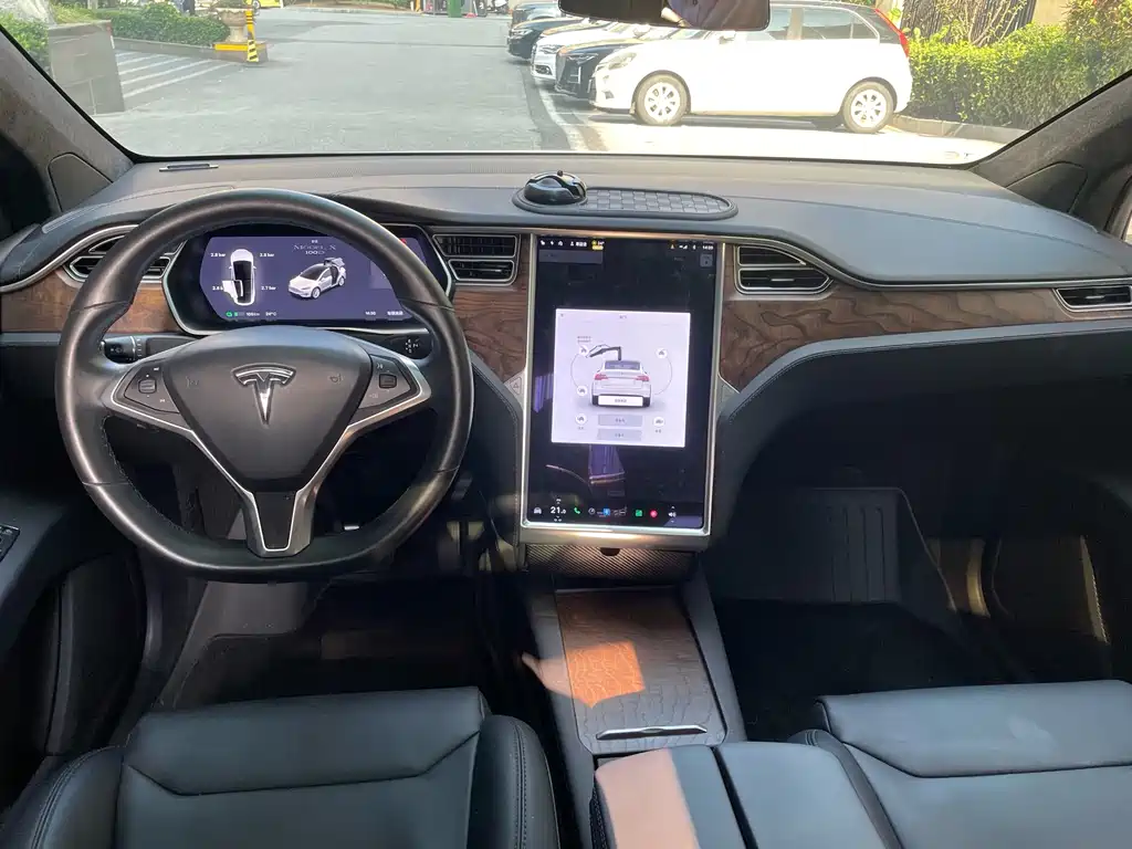 Tesla Model X — миниатюра 14