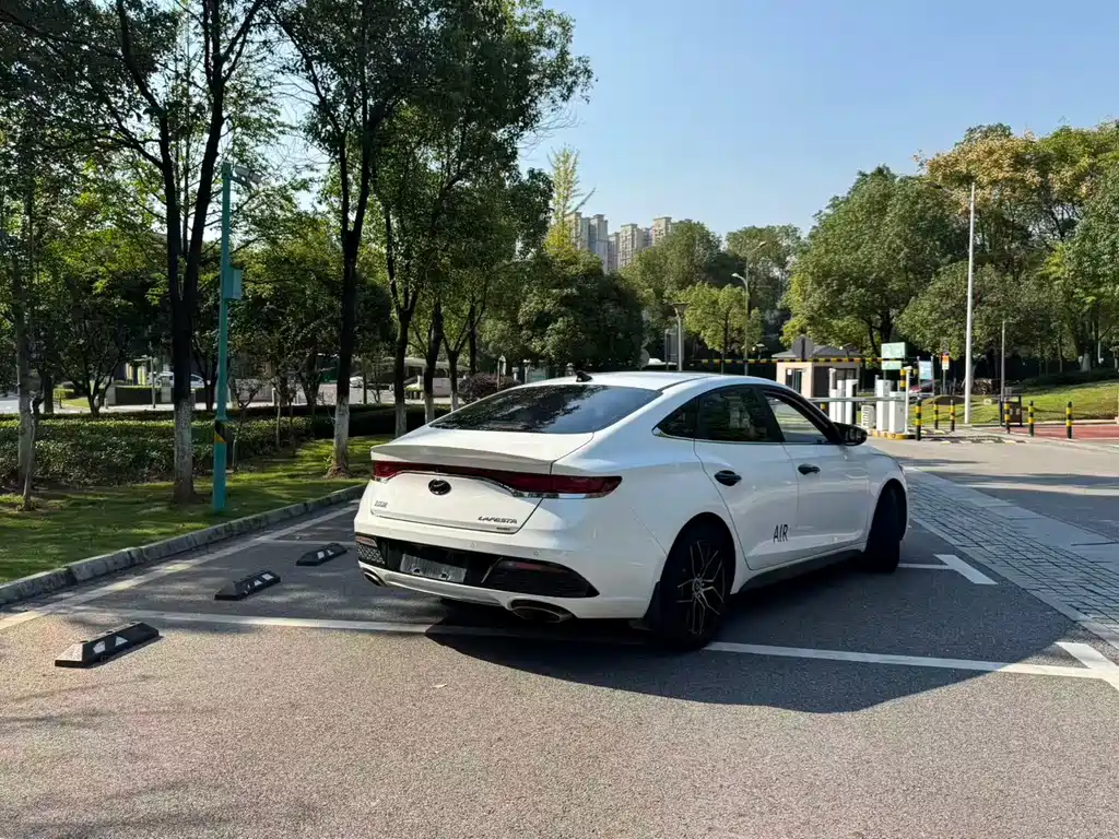 Hyundai Fista — миниатюра 10