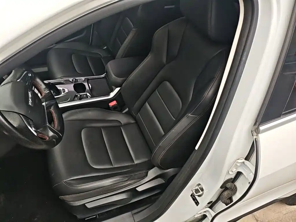 Haval H4 — миниатюра 11