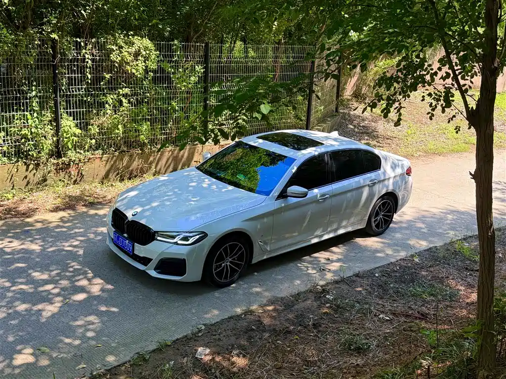 BMW 5 Series 5 2018 525Li M Sport