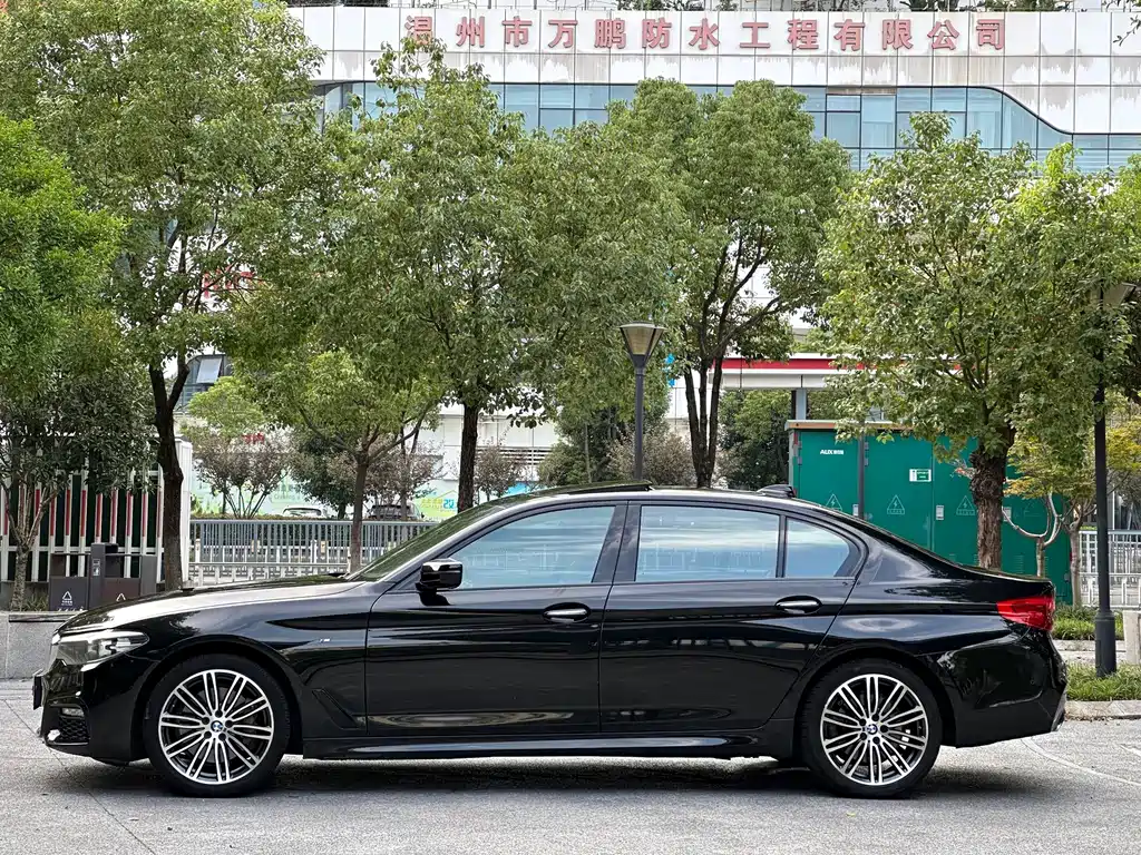 BMW 5 Series — миниатюра 4