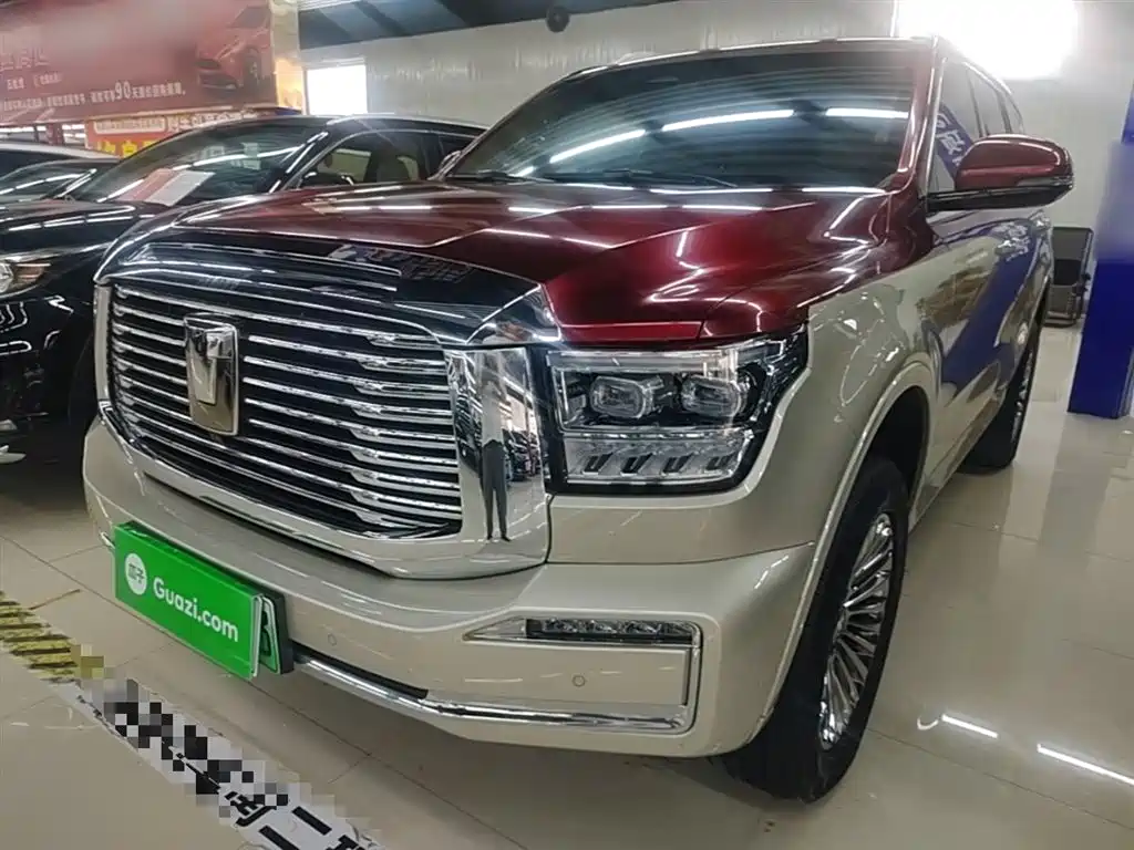 Tank Tank 500 New Energy 2023