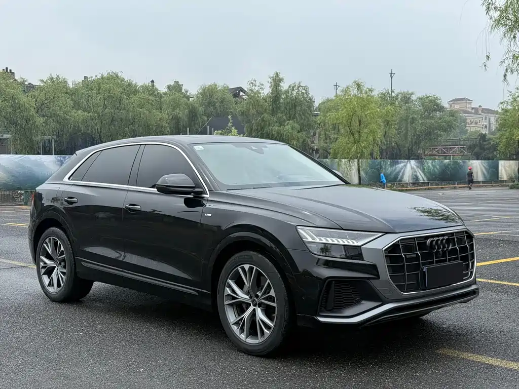Audi Q8 2024 55 TFSI Luxury