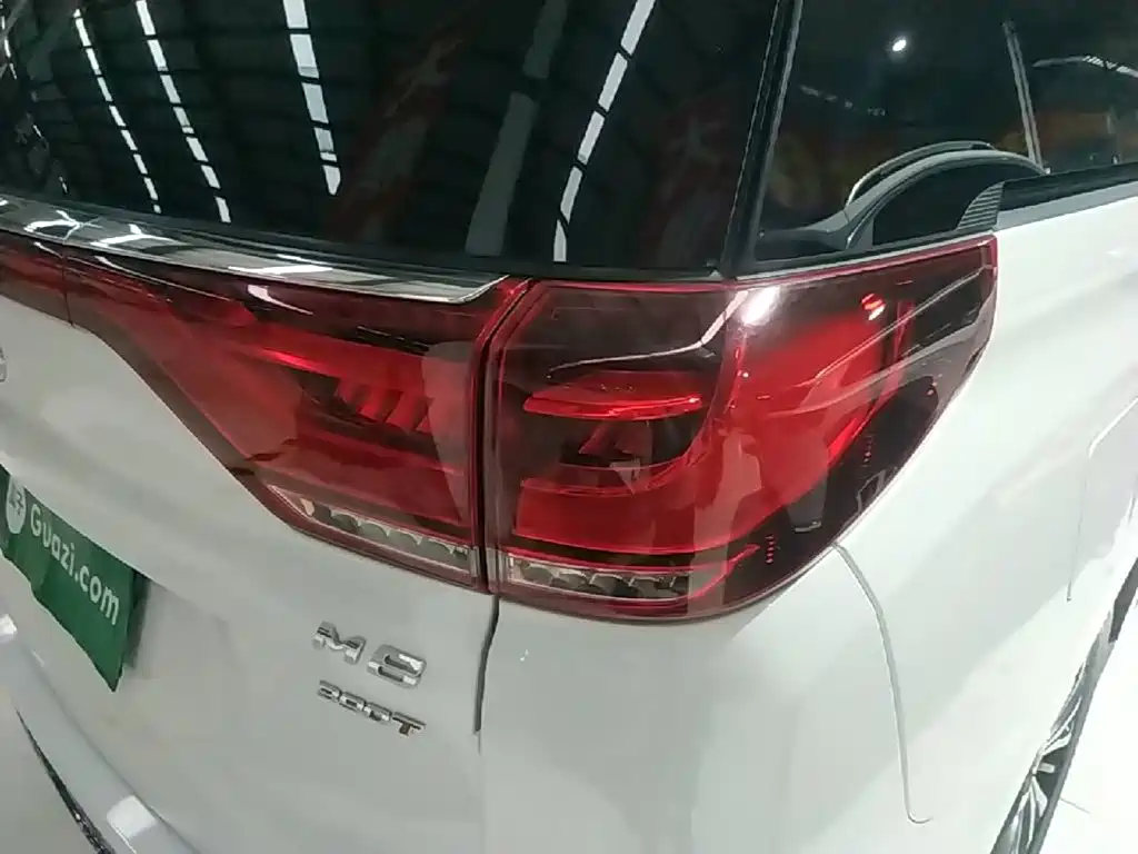 GAC Motor Trumpchi M8 — миниатюра 8