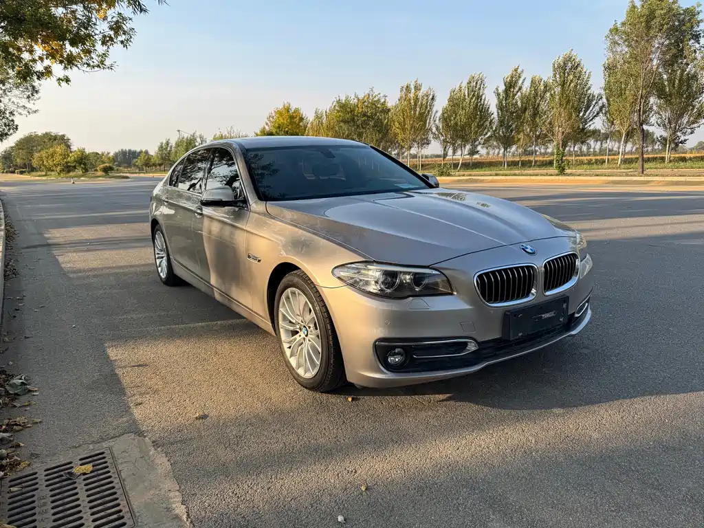 BMW 5 Series — миниатюра 3