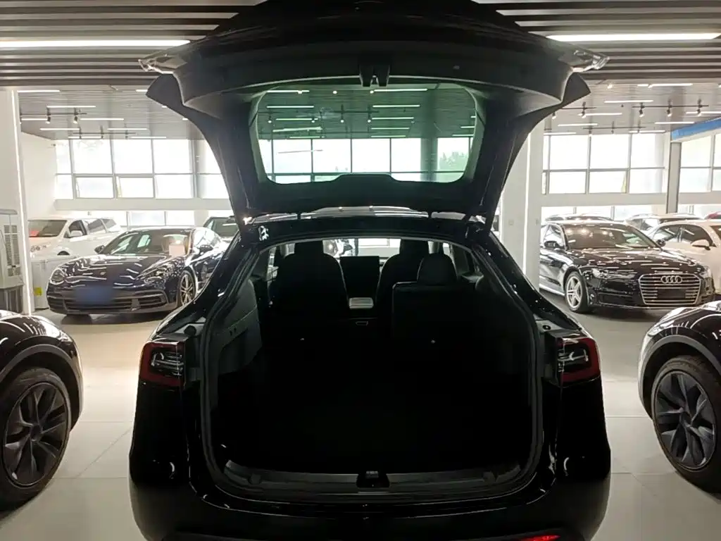 Tesla Model Y — миниатюра 19