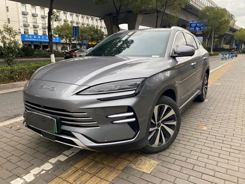 Byd PLUS New Energy 2024