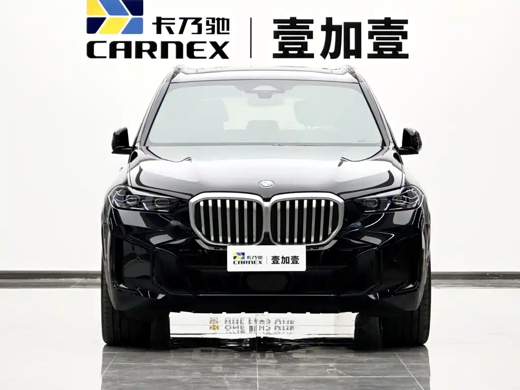 BMW X5 — миниатюра 2