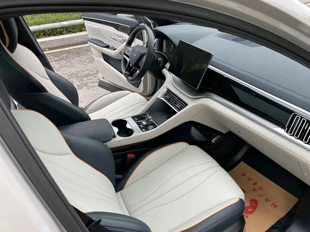 BYD PLUS New Energy — миниатюра 13