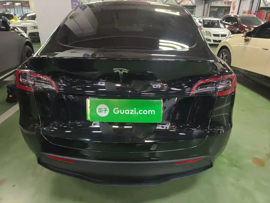 Tesla Model Y — миниатюра 6