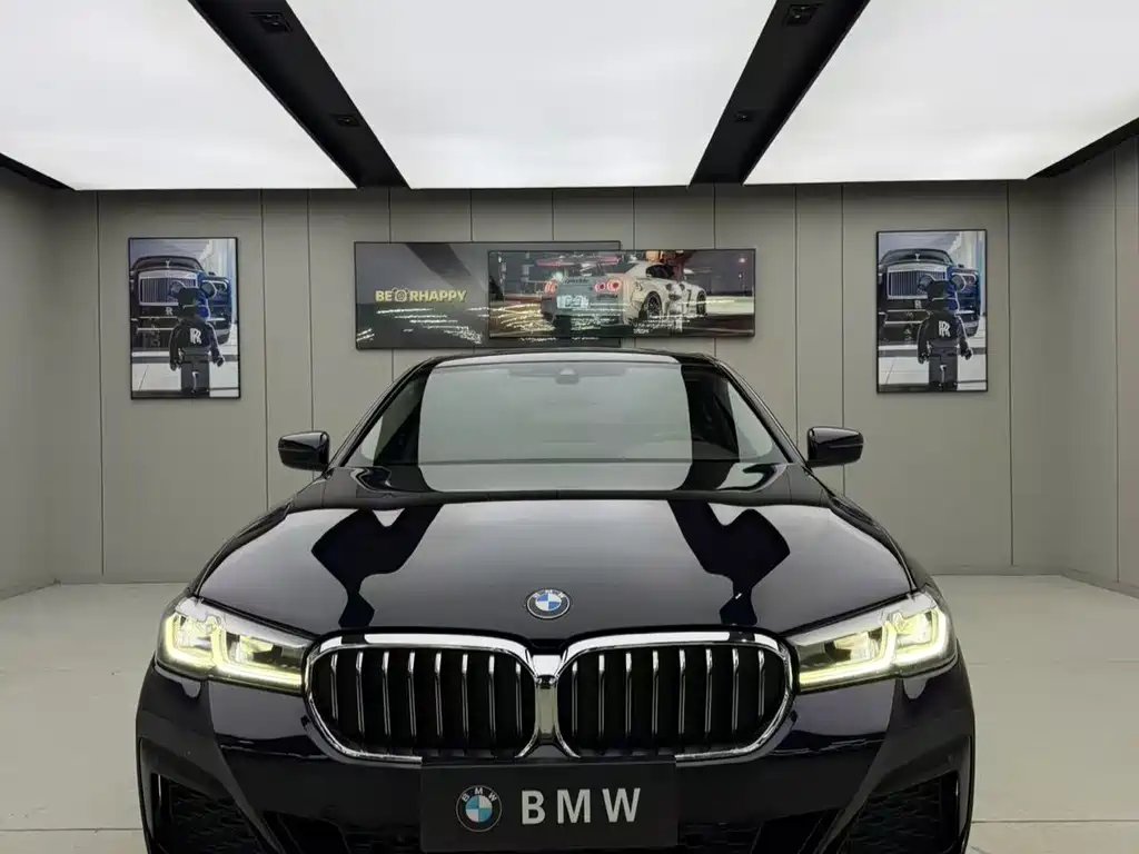 BMW 5 Series 5 2022 530Li xDrive M Sport