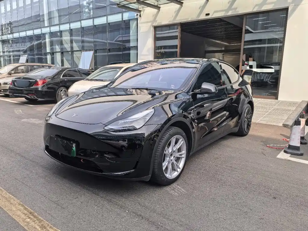 Tesla Model Y — миниатюра 2
