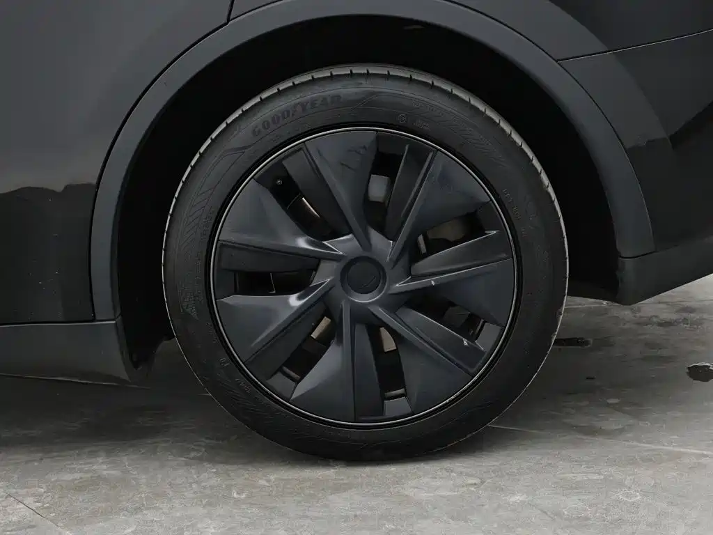 Tesla Model Y — миниатюра 9
