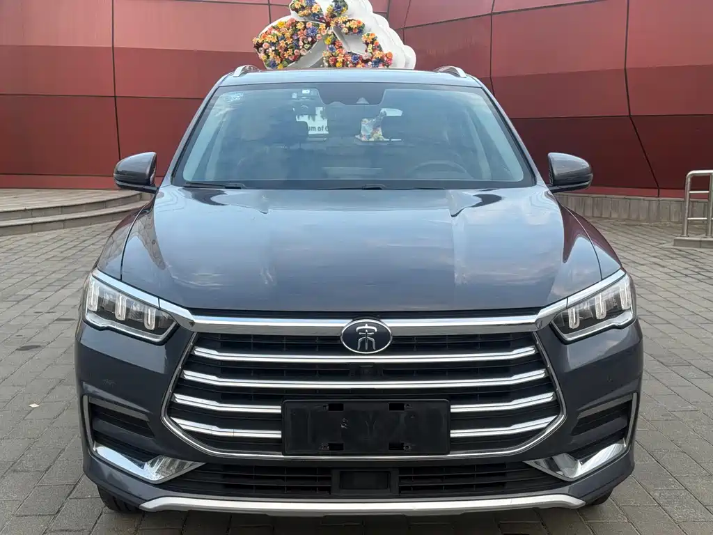 BYD Pro — миниатюра 2