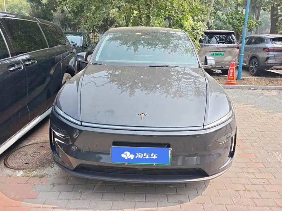 Tesla Model Y — миниатюра 2