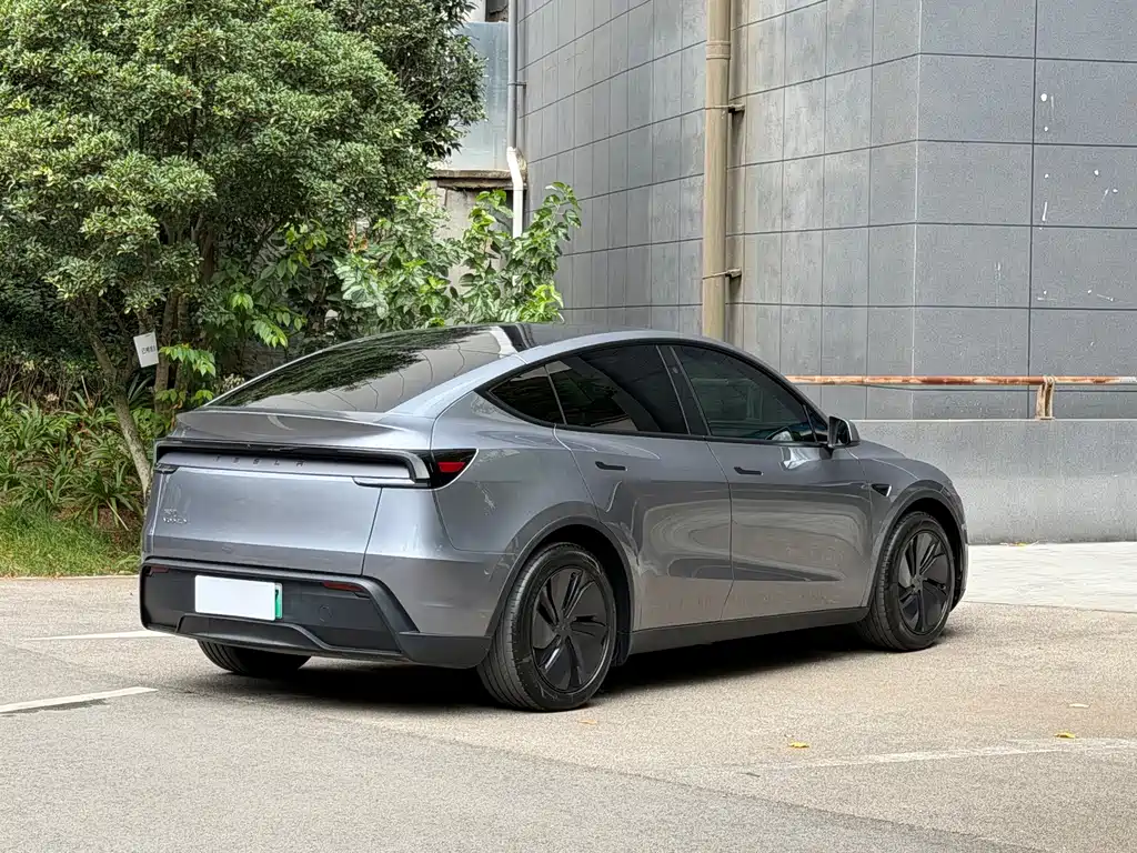Tesla Model Y — миниатюра 7