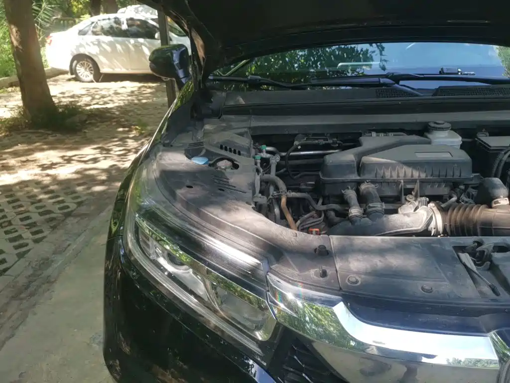 Honda Avancier — миниатюра 21